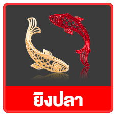ลาวา333